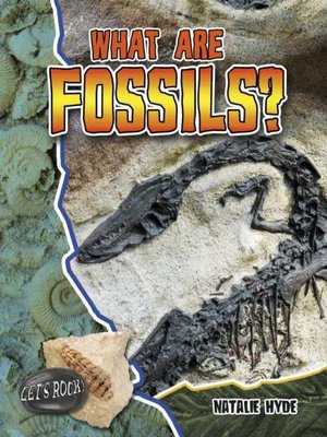 cover image of What are Fossils?